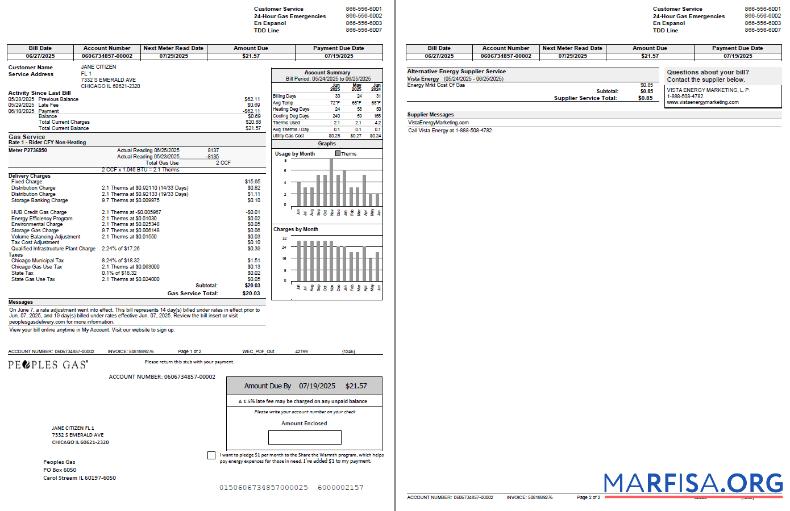 Printable USA Peoples Gas utility bill template in Word and PDF formats, 2 pages